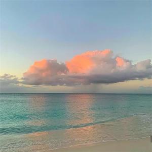 女骑士之堕落篇冷狐版攻略
